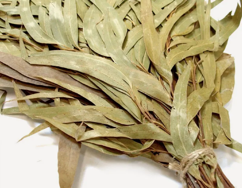 Лучшие веники для бани: полная энциклопедия выбора и использования